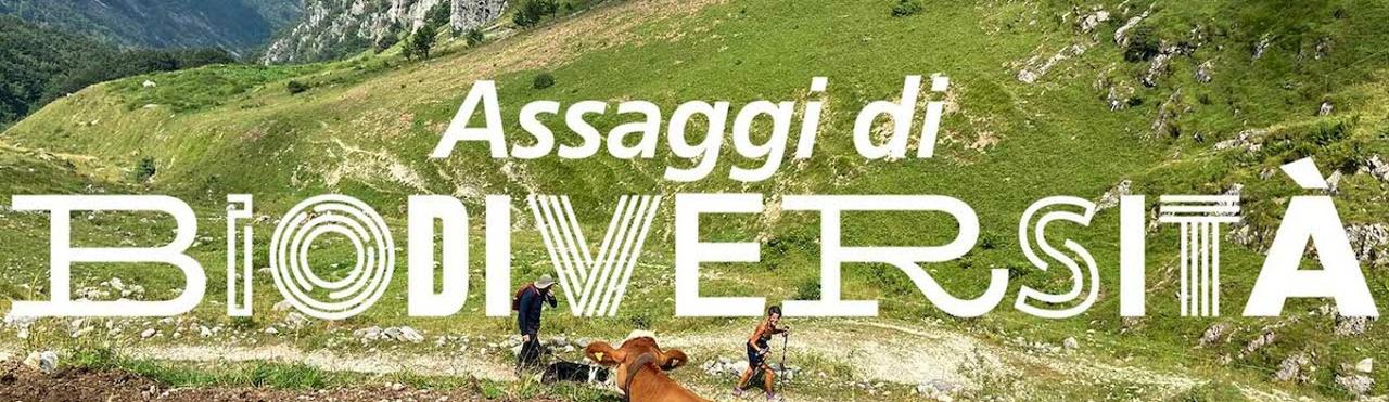 FORMAGGI D'ALTA QUOTA